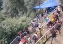 शासन ने यात्रा मार्गों पर घोड़े-खच्चरों के संचालन के लिए जारी की नई एसओपी