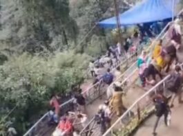 शासन ने यात्रा मार्गों पर घोड़े-खच्चरों के संचालन के लिए जारी की नई एसओपी