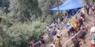 शासन ने यात्रा मार्गों पर घोड़े-खच्चरों के संचालन के लिए जारी की नई एसओपी