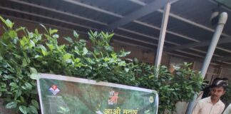 हरेला पर्व पर हरियाली का संकल्प: जिलाधिकारी डॉ0 आशीष चौहान ने किया वृक्षारोपण, कहा— पौधारोपण को बनाएं जन-आंदोलन