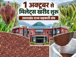 प्रदेशभर में 1 अक्टूबर से शुरू होगी मिलेट्स की खरीदः डाॅ. धन सिंह रावत