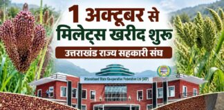 प्रदेशभर में 1 अक्टूबर से शुरू होगी मिलेट्स की खरीदः डाॅ. धन सिंह रावत