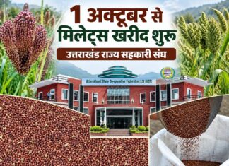 प्रदेशभर में 1 अक्टूबर से शुरू होगी मिलेट्स की खरीदः डाॅ. धन सिंह रावत