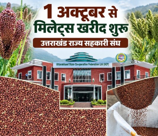 प्रदेशभर में 1 अक्टूबर से शुरू होगी मिलेट्स की खरीदः डाॅ. धन सिंह रावत