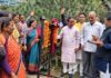 पाबौ क्षेत्र को मिली 16.18 करोड़ की विकास योजनाओं की सौगात, सात किमी सड़क का होगा निर्माण